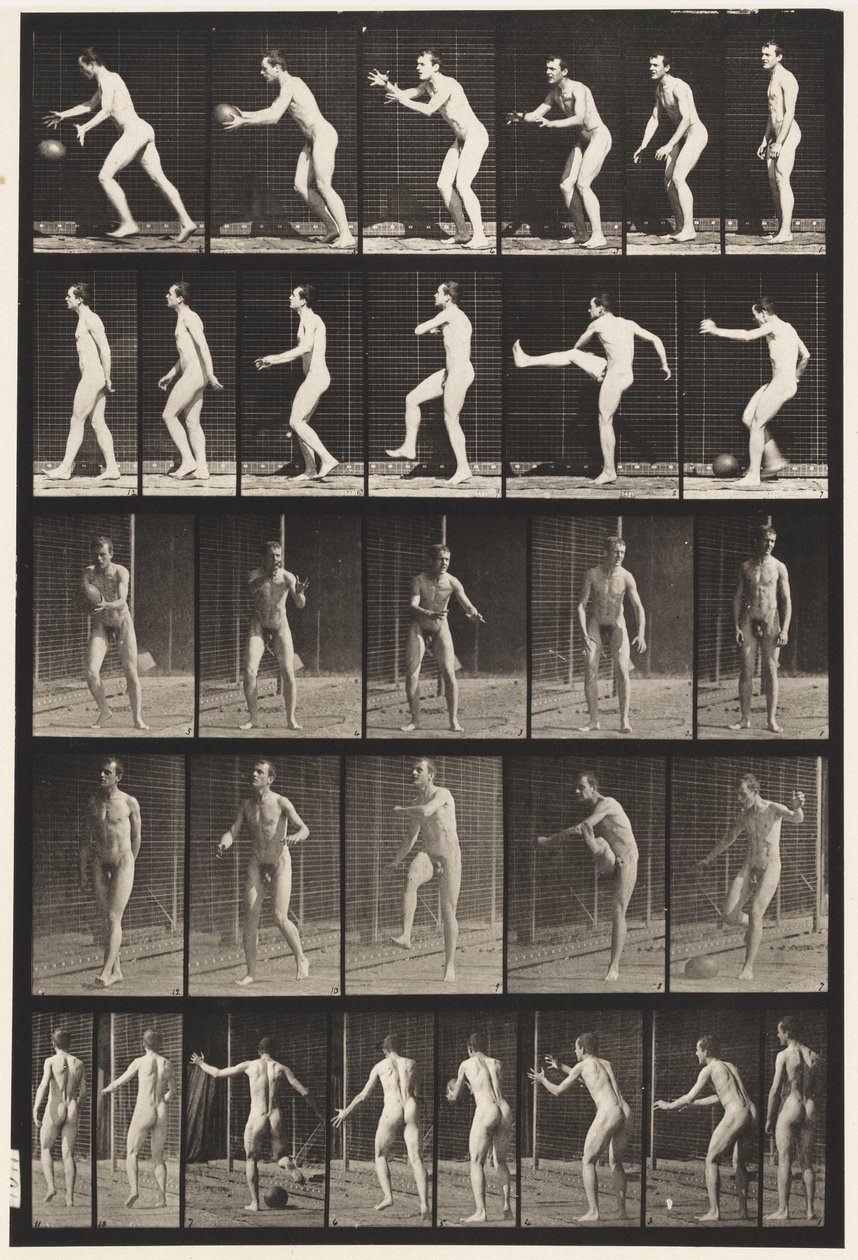 Placa 300. Fútbol; patada de drop, 1885 de Eadweard Muybridge