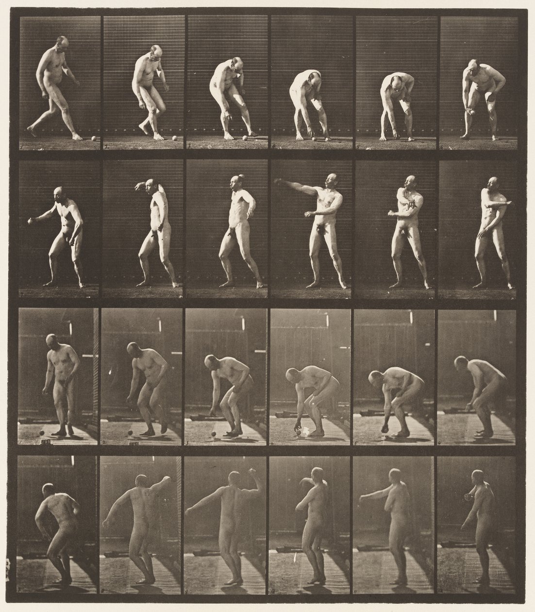 Placa 302. Recogiendo una pelota y lanzándola de Eadweard Muybridge