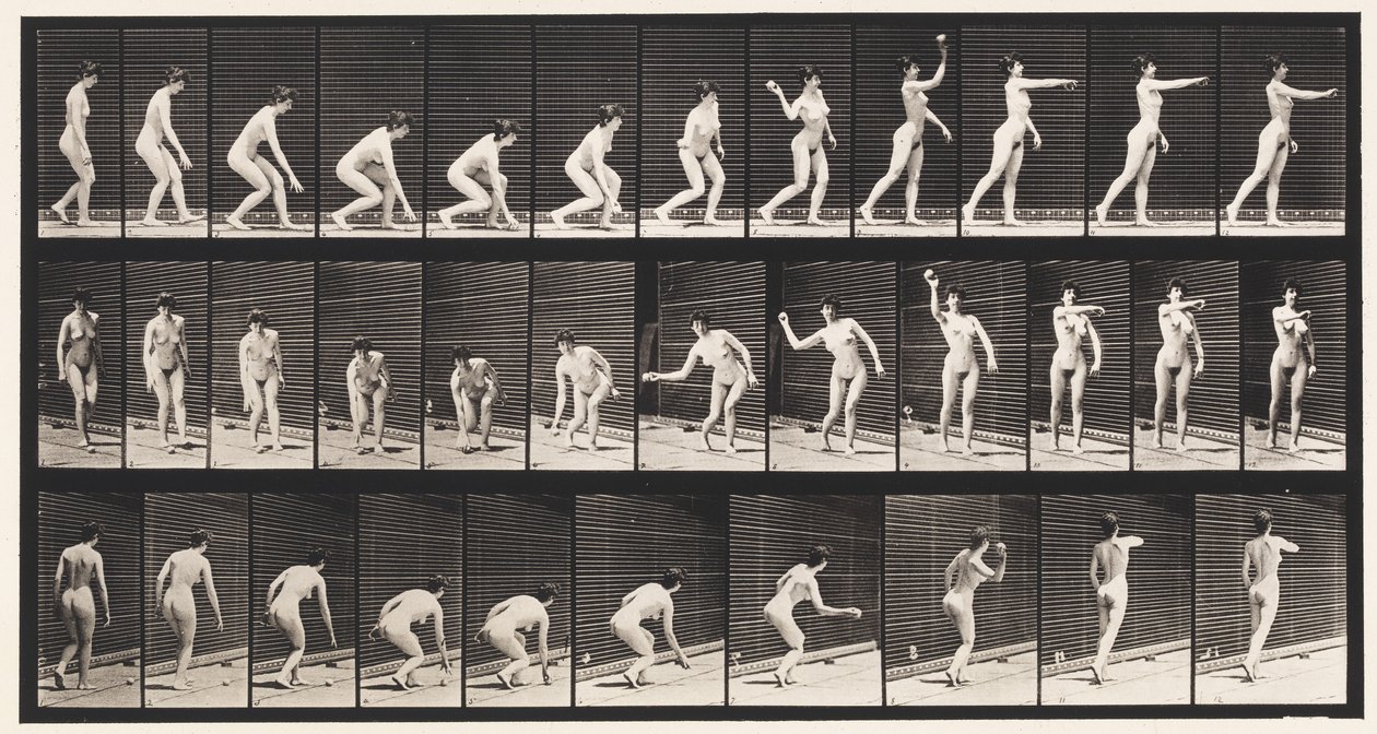 Placa 303. Recogiendo una pelota y lanzándola de Eadweard Muybridge