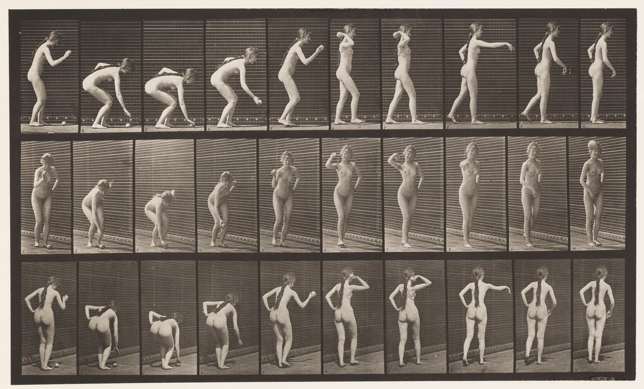 Placa 304. Recogiendo una pelota y lanzándola de Eadweard Muybridge