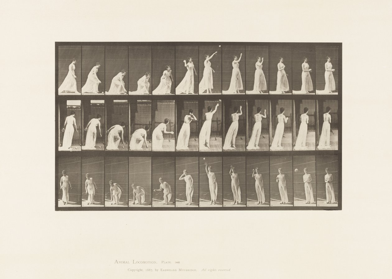 Placa 305. Recogiendo una pelota y lanzándola, 1885 de Eadweard Muybridge