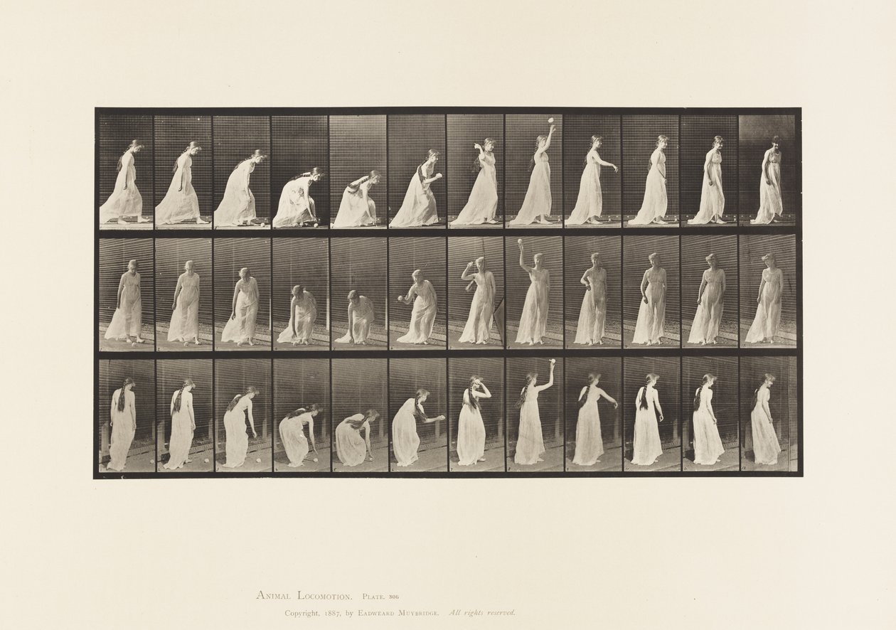 Placa 306. Recogiendo una Pelota y Lanzándola, 1885 de Eadweard Muybridge