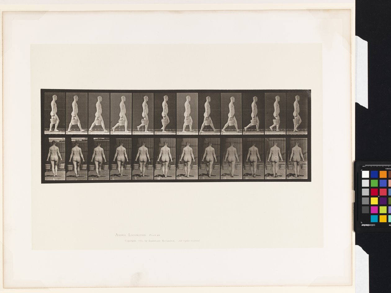 Placa 30. Caminando, llevando un cubo de agua en cada mano de Eadweard Muybridge