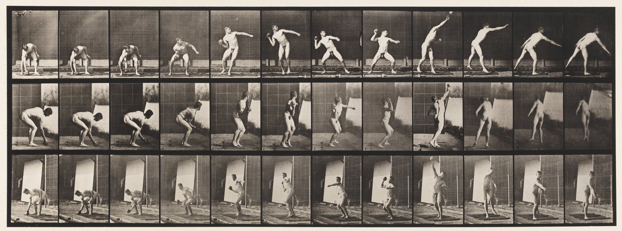 Placa 310. Lanzamiento de peso, 1885 de Eadweard Muybridge