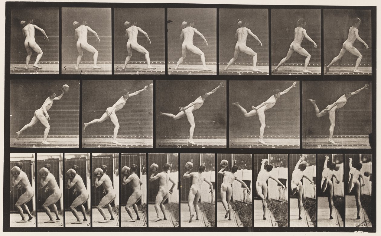Placa 316. Levantando una roca de 20 libras de Eadweard Muybridge