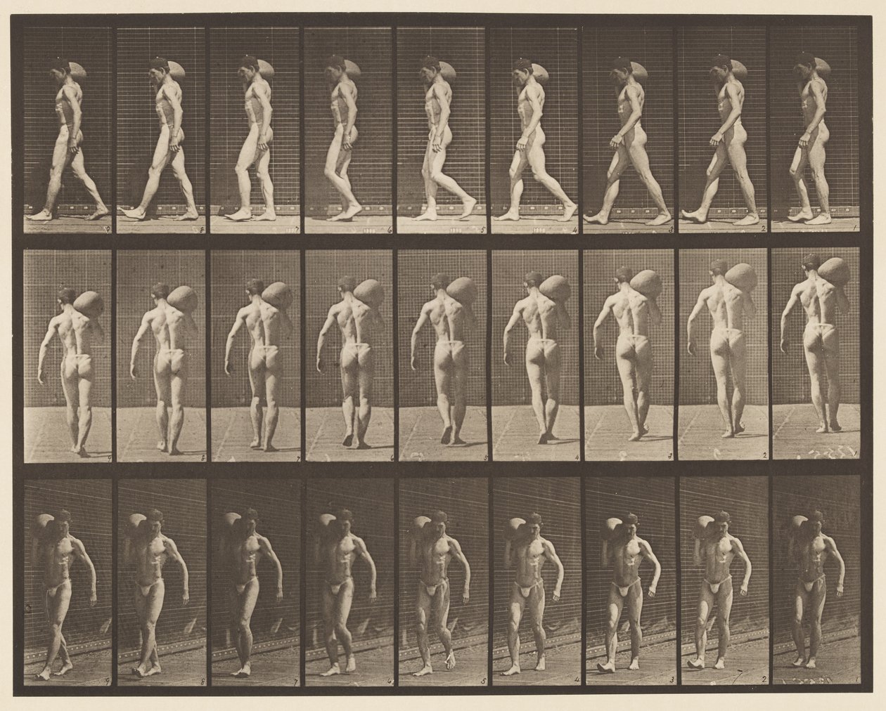 Placa 31. Caminando, Llevando una Piedra de 75 lb en el Hombro Derecho de Eadweard Muybridge