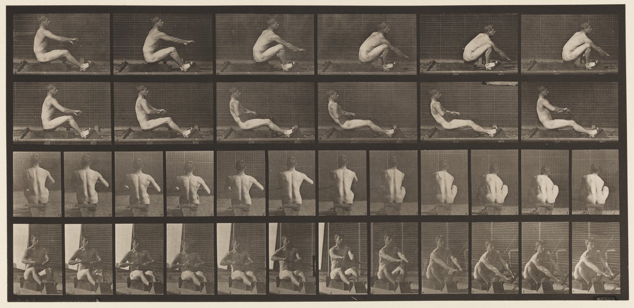 Placa 328. Remo de Eadweard Muybridge