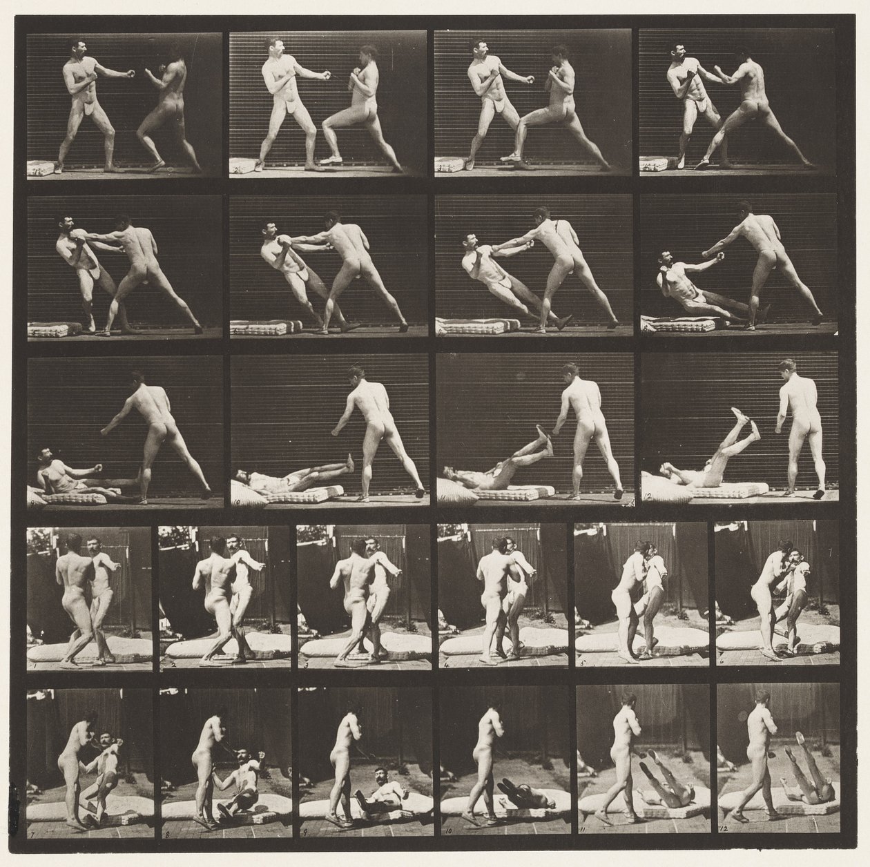Placa 333. Boxeo; 53 Derribando a 52 (Zapatos) de Eadweard Muybridge