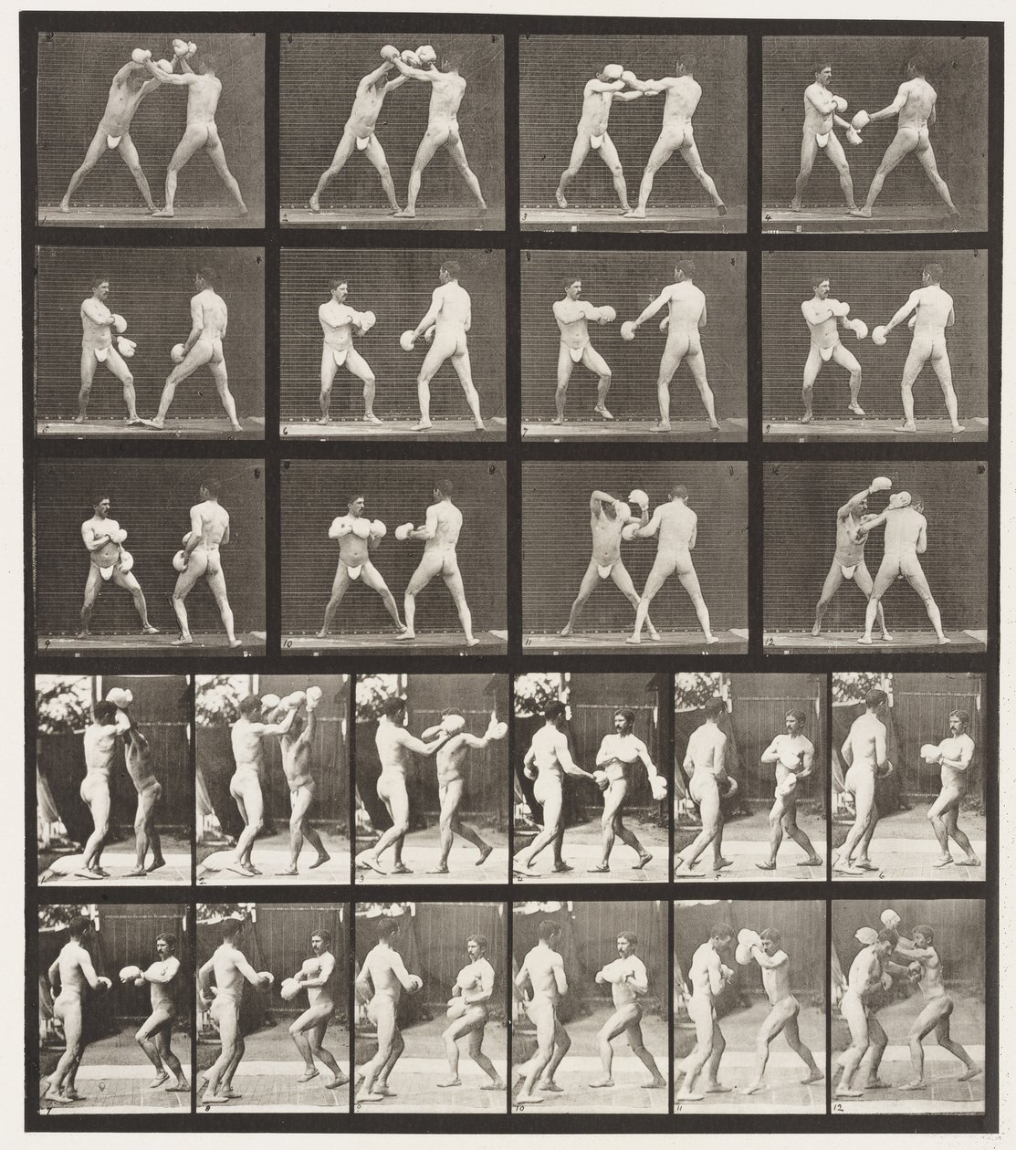 Placa 334. Boxeo; Con guantes de Eadweard Muybridge