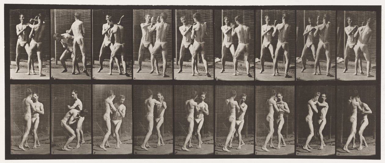 Placa 337. Boxeo; mano abierta de Eadweard Muybridge