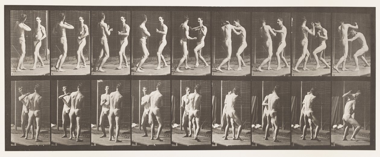 Placa 339. Boxeo; mano abierta de Eadweard Muybridge