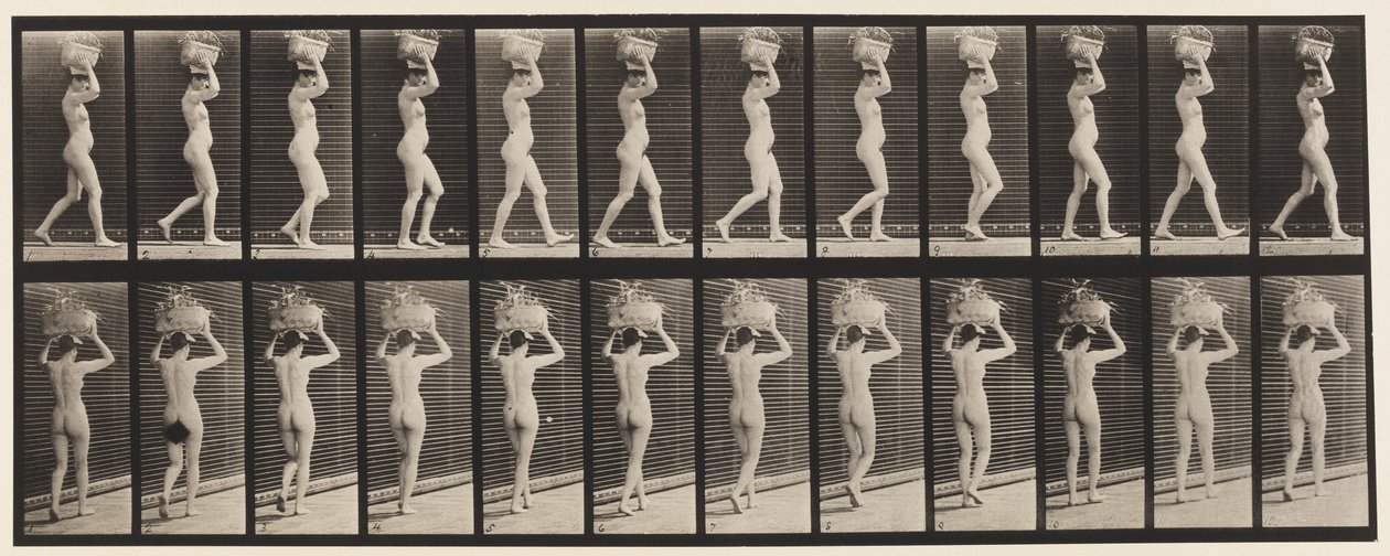 Placa 33. Caminando, cesta de 14 libras en la cabeza, manos levantadas de Eadweard Muybridge