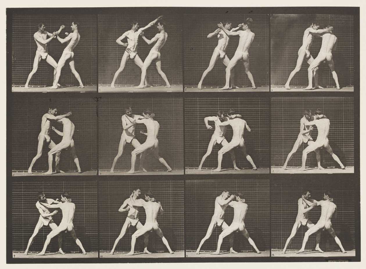 Placa 340. Boxeo; mano abierta de Eadweard Muybridge