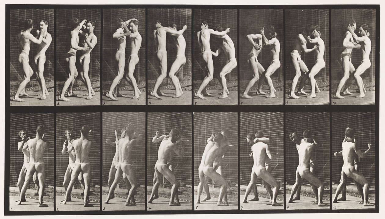 Placa 341. Boxeo; Mano Abierta de Eadweard Muybridge