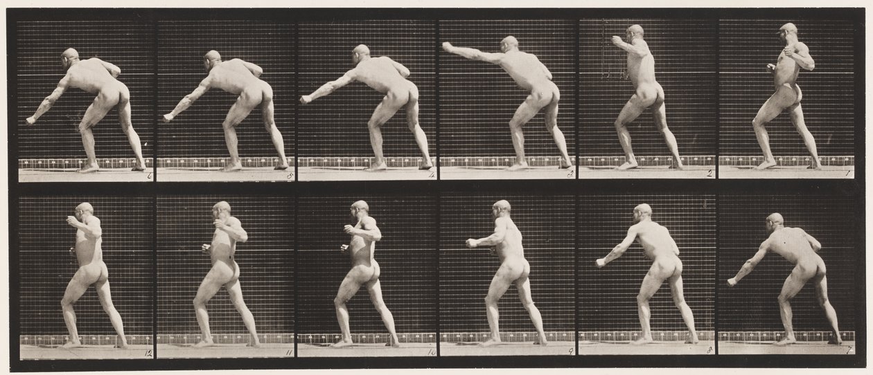 Placa 343. Dando un golpe (mano izquierda) de Eadweard Muybridge