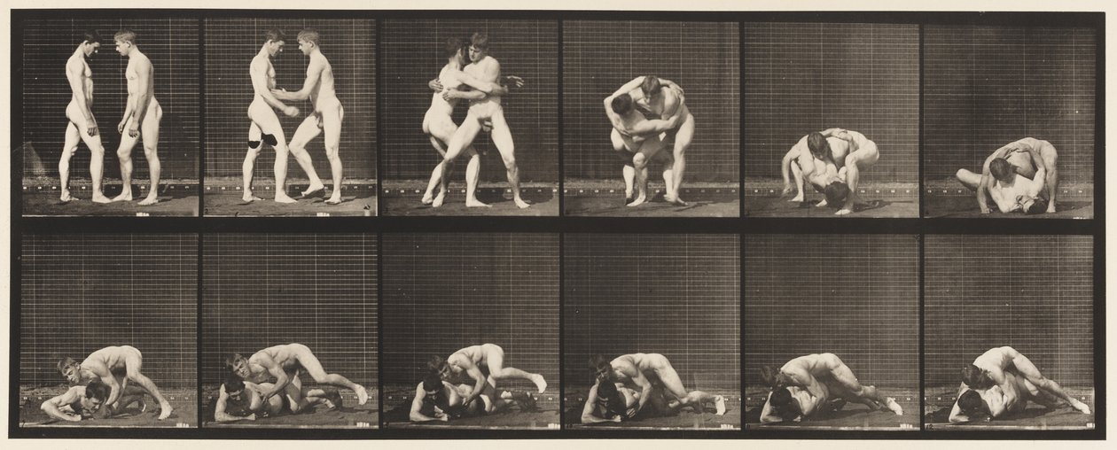 Placa 345. Lucha, bloqueo, 1885 de Eadweard Muybridge