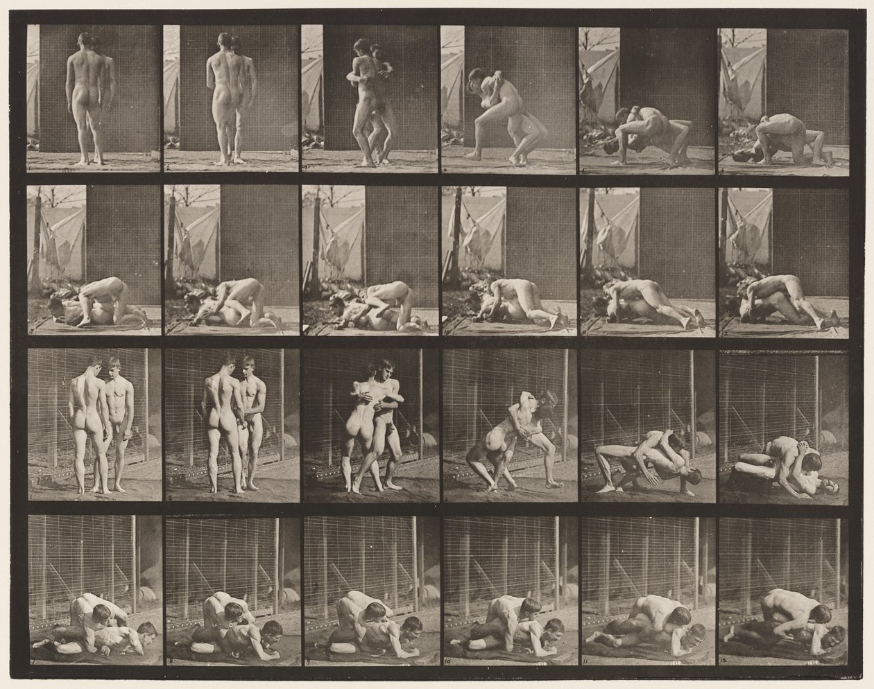 Placa 346. Lucha, llave de Eadweard Muybridge