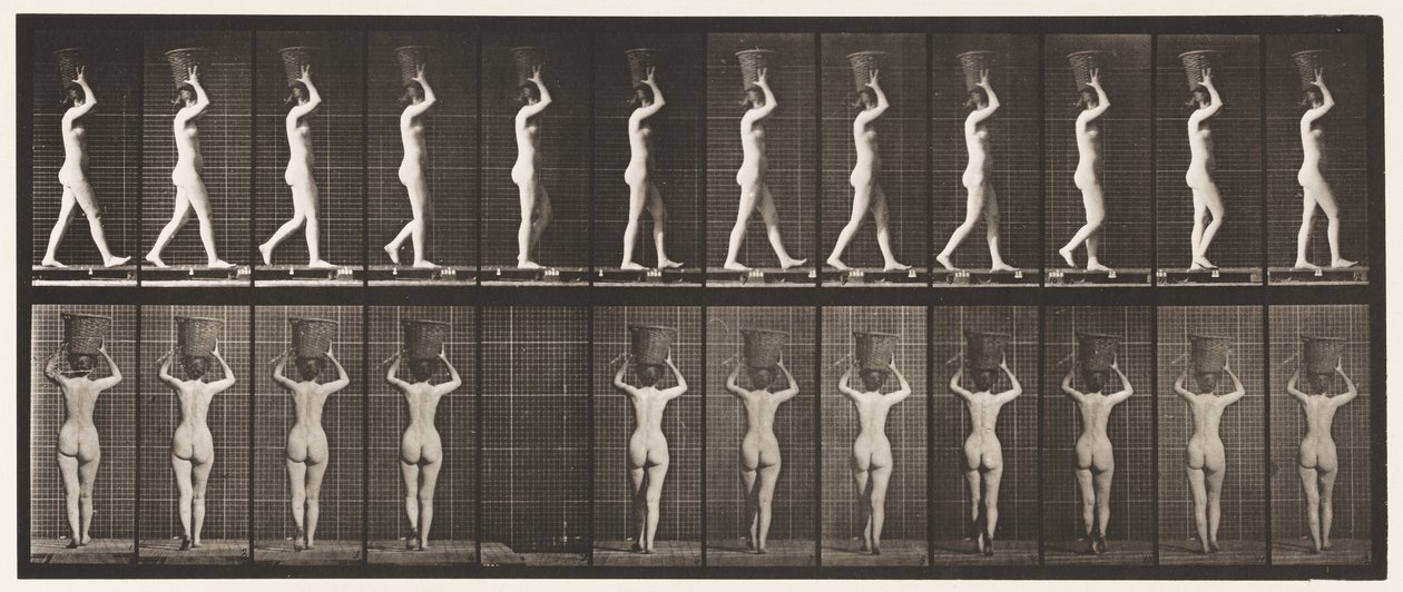 Placa 34. Caminando de Eadweard Muybridge