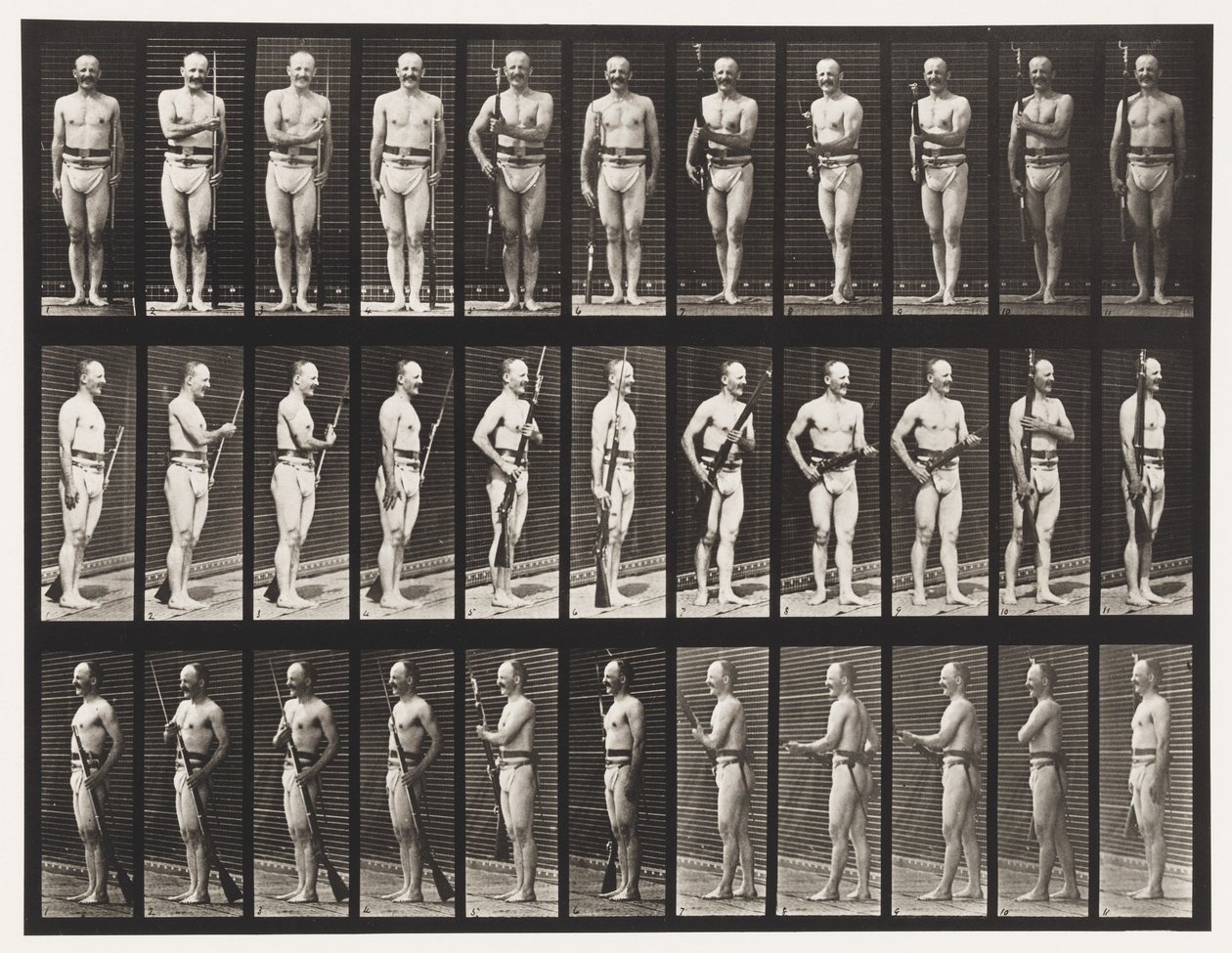 Placa 351. Fijar y desarmar bayonetas, 1872-1885 de Eadweard Muybridge