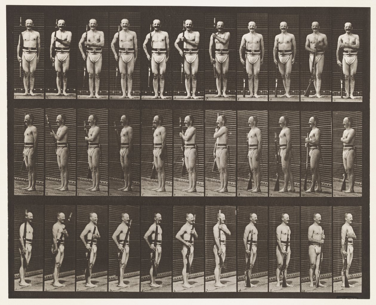 Placa 354. Llevar Armas, Descanso de Desfile y Arrastrar Armas de Eadweard Muybridge