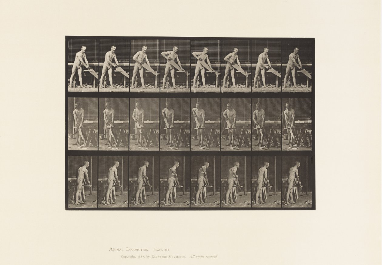 Placa 380. Carpintero, serrando, 1872-1885 de Eadweard Muybridge