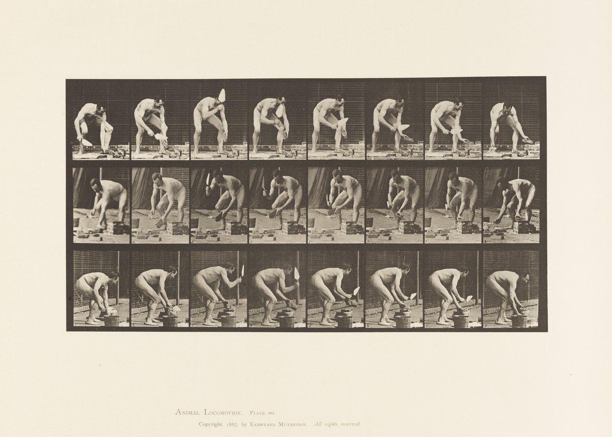 Placa 381. Albañil, colocando un ladrillo de Eadweard Muybridge