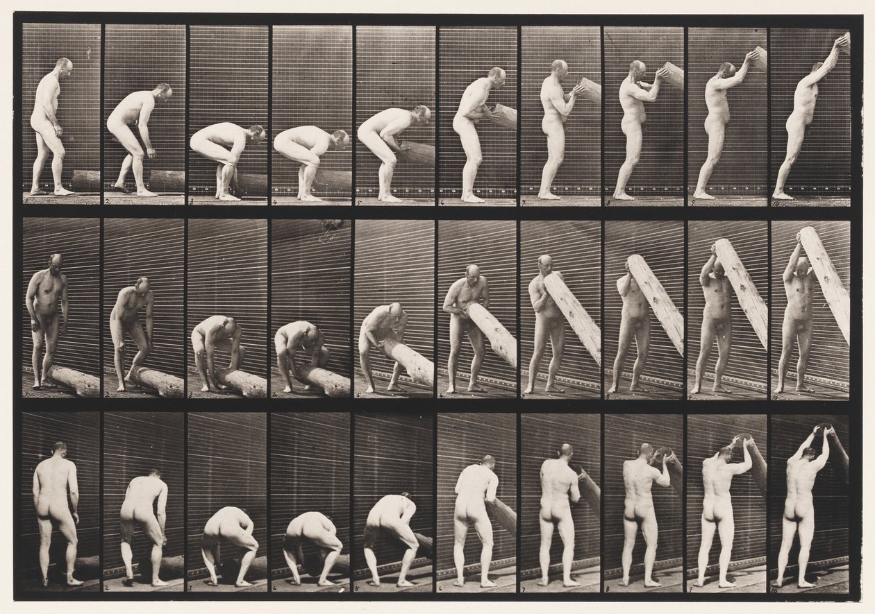 Placa 382. Levantando un tronco en vertical de Eadweard Muybridge