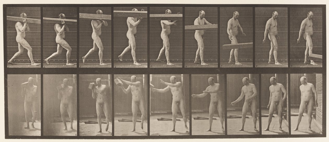 Placa 384. Levantando un tronco en el hombro de Eadweard Muybridge