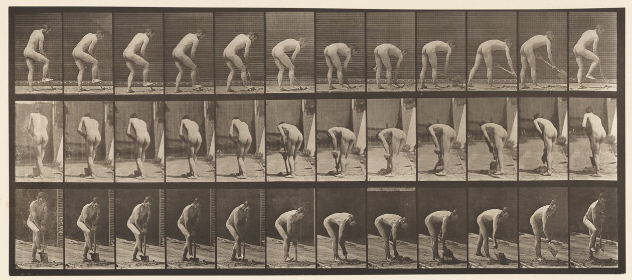 Placa 388. Granjero, usando una pala de Eadweard Muybridge