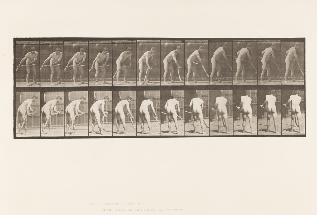 Placa 390. Granjero, cortando césped de Eadweard Muybridge