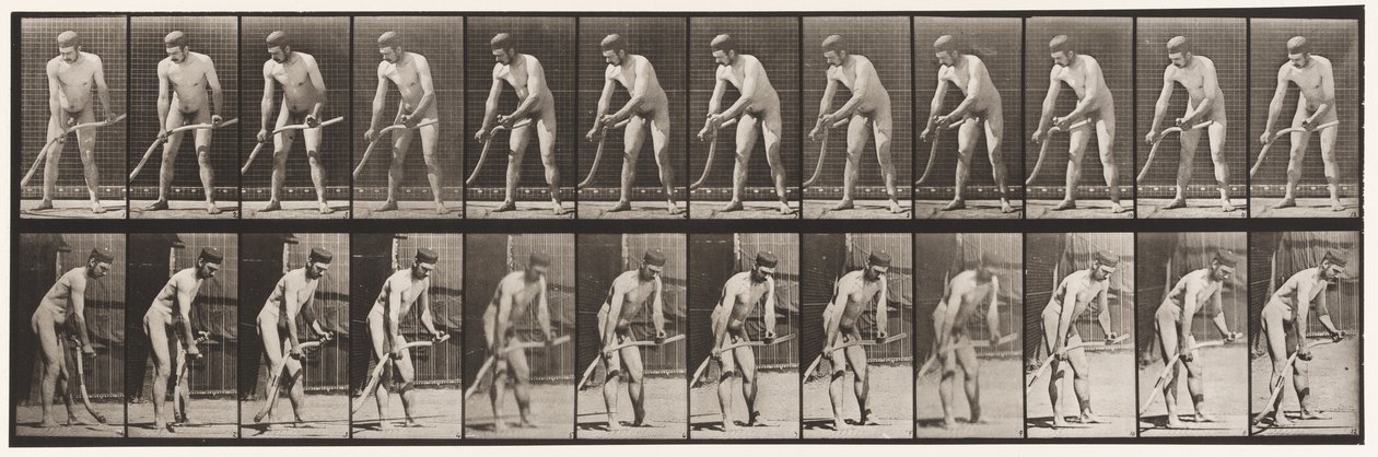 Placa 391. Granjero, Cortando Césped de Eadweard Muybridge