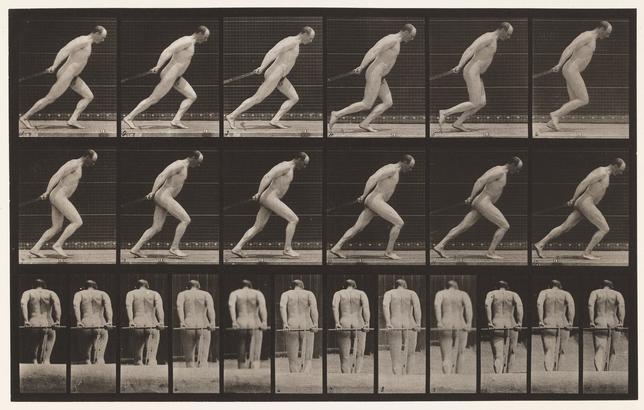 Placa 392. Arrastrando un rodillo de jardín de Eadweard Muybridge