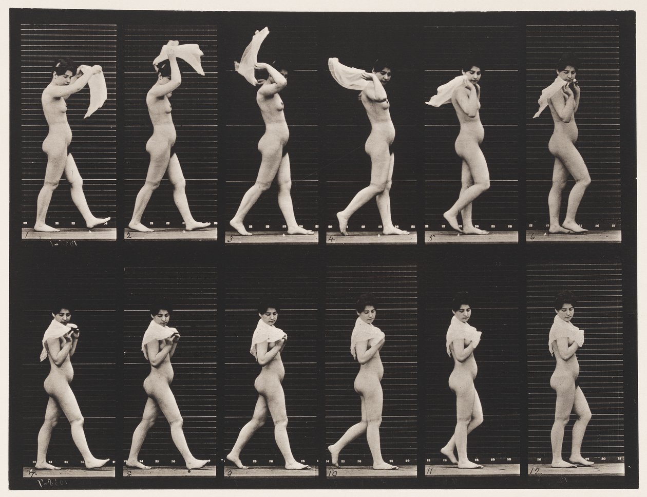 Placa 40. Caminando, lanzando pañuelo sobre los hombros de Eadweard Muybridge