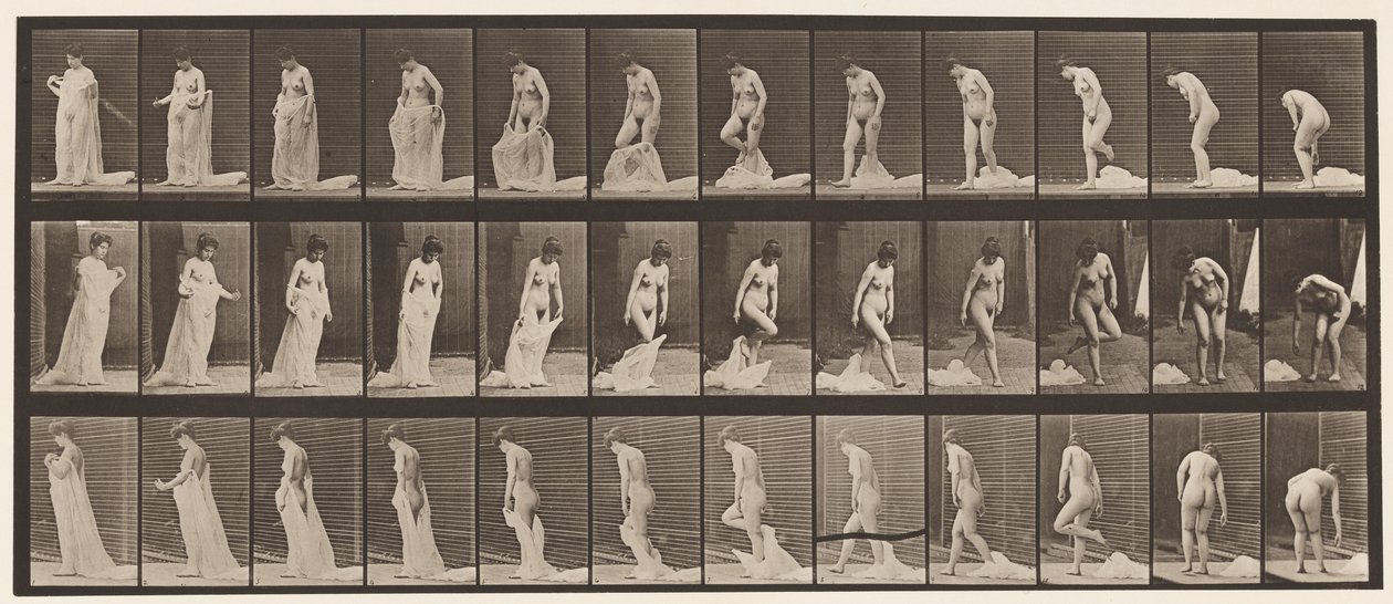 Placa 430. Aseo; Quitándose la ropa, 1872-1885 de Eadweard Muybridge