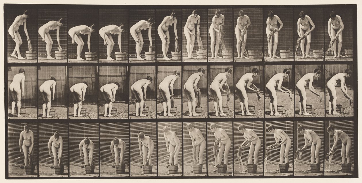 Placa 433. Retorciendo la ropa de Eadweard Muybridge