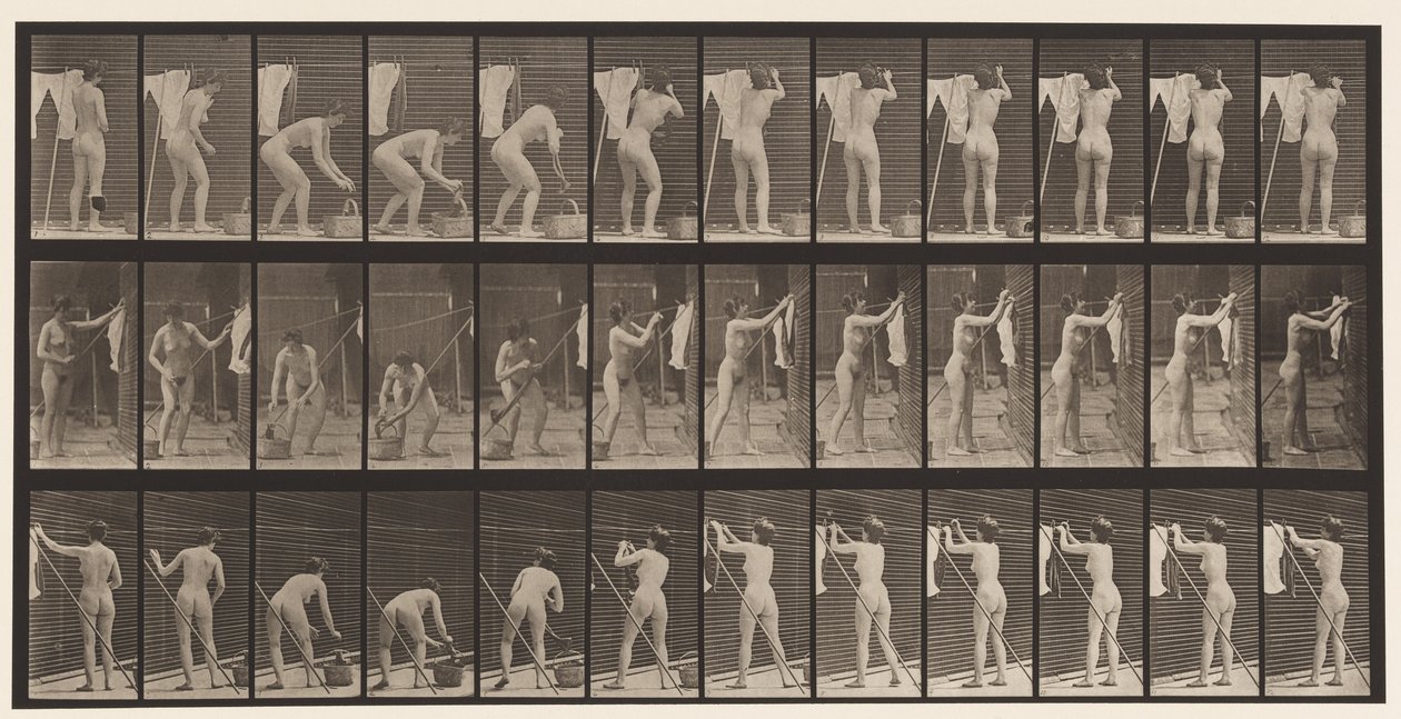 Placa 434. Colgando ropa en la línea, 1872-1885 de Eadweard Muybridge