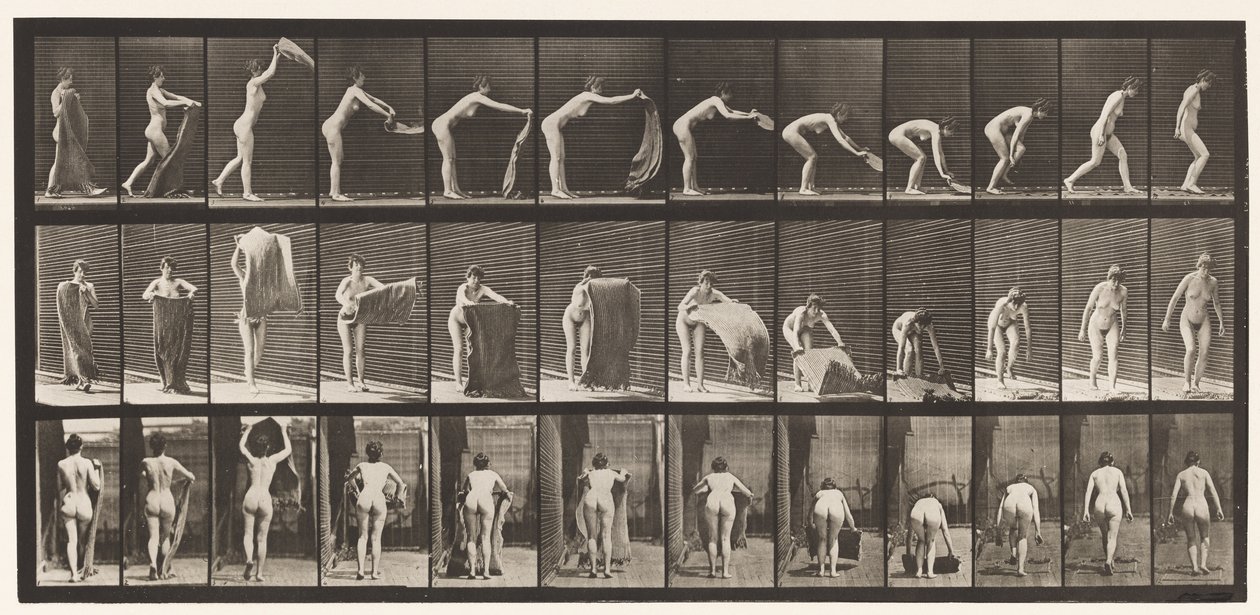 Placa 439. Extendiendo una alfombra en el suelo, 1872-1885 de Eadweard Muybridge