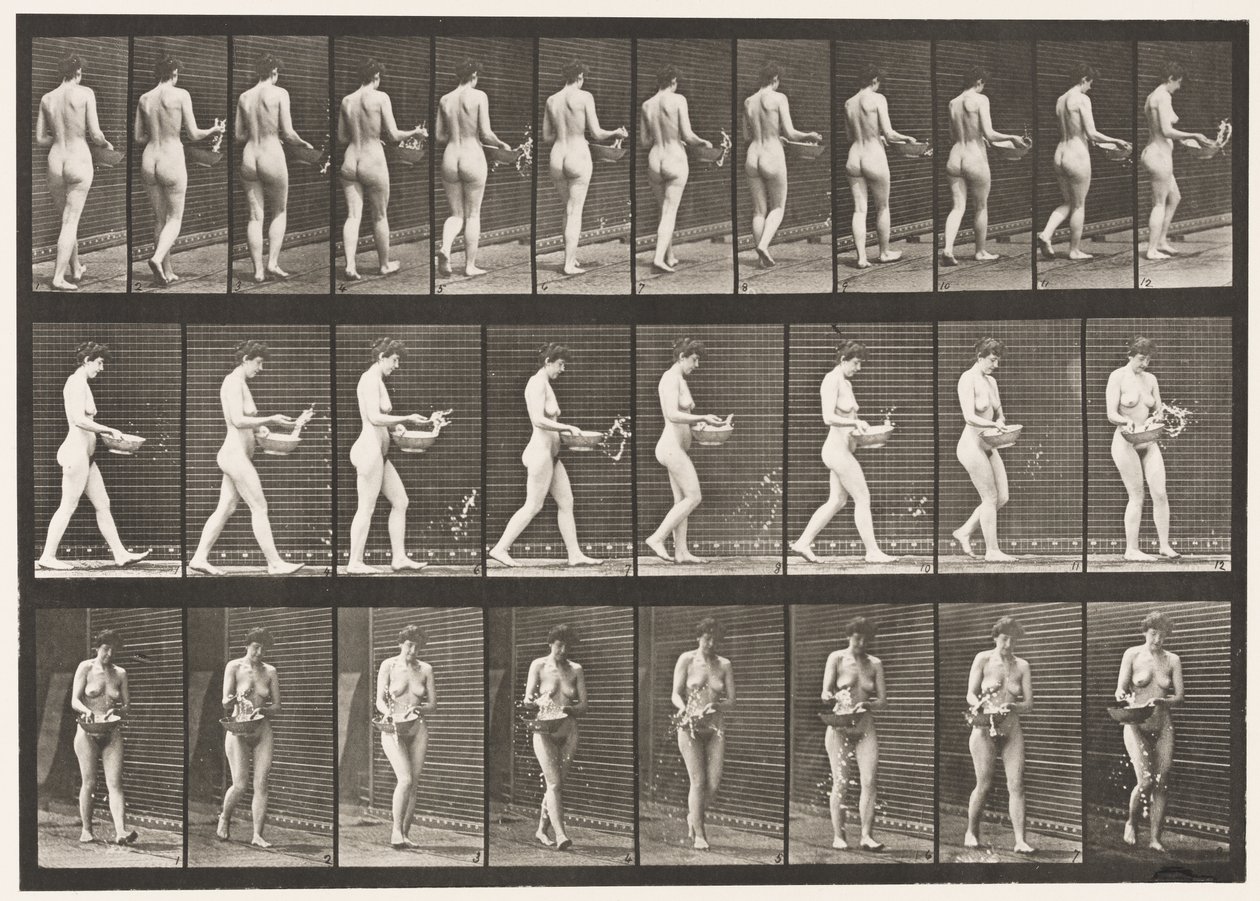 Placa 43. Caminando, rociando agua de un cuenco, girando de Eadweard Muybridge