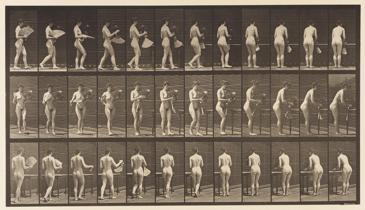 Placa 441. Llevando jarrón y colocándolo en la mesa, 1872-1885 de Eadweard Muybridge