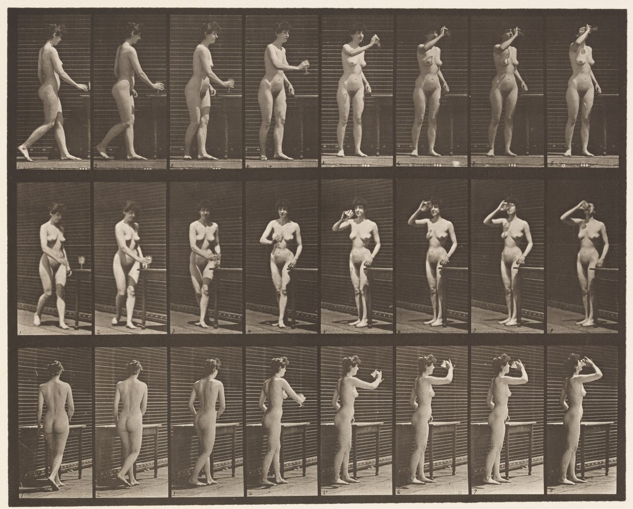 Placa 443. Bebiendo de una copa mientras está de pie de Eadweard Muybridge