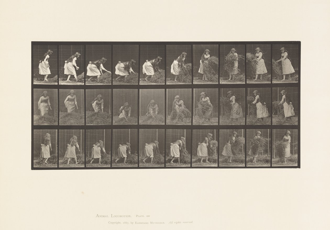 Placa 458. Levantando puñados de heno, girando, tirándolo de Eadweard Muybridge