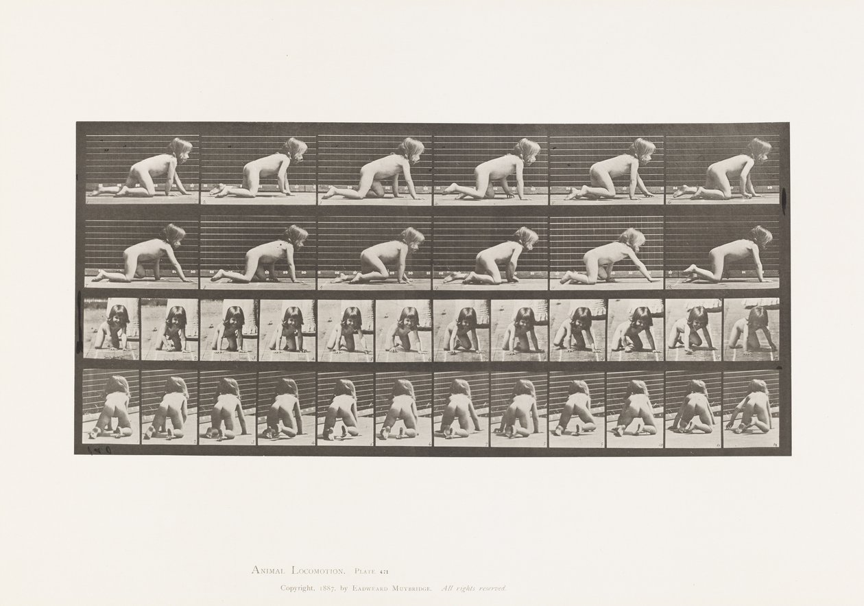 Placa 471. Niño, gateando sobre manos y rodillas, 1885 de Eadweard Muybridge