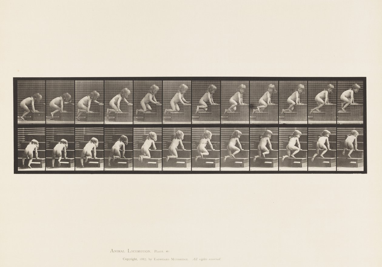 Placa 472. Niño, gateando escaleras arriba, 1885 de Eadweard Muybridge