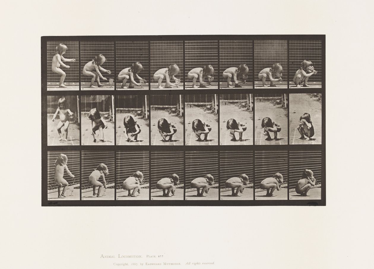 Placa 477. Niño, agachándose, levantando una copa y bebiendo de Eadweard Muybridge