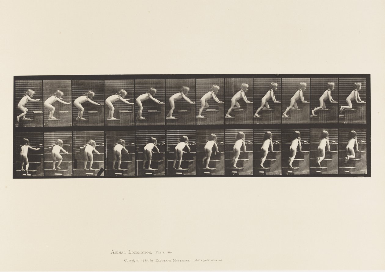 Placa 480. Niño, caminando y gateando escaleras arriba de Eadweard Muybridge