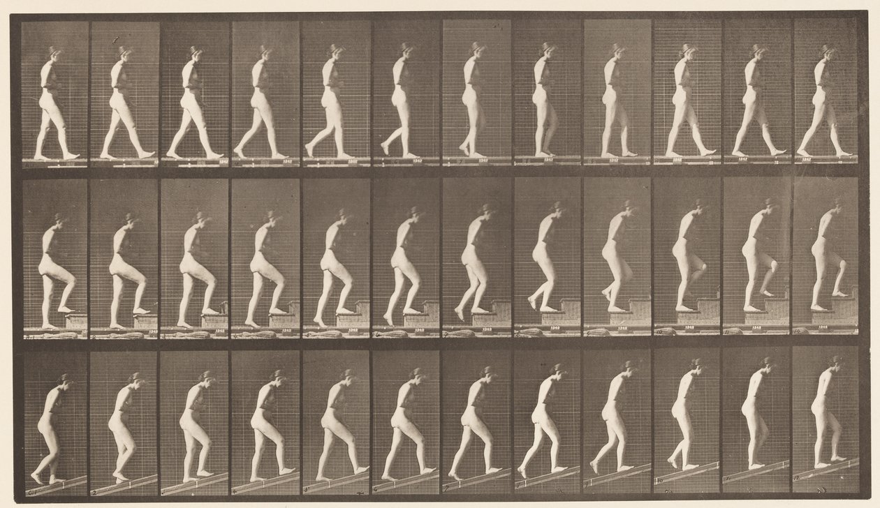 Placa 482. A, caminando; B, subiendo escaleras; C, subiendo inclinación, 1872-1885 de Eadweard Muybridge