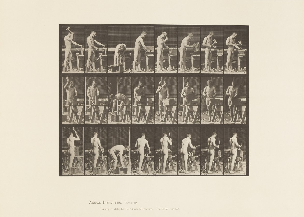 Placa 507. Carpintería de Eadweard Muybridge