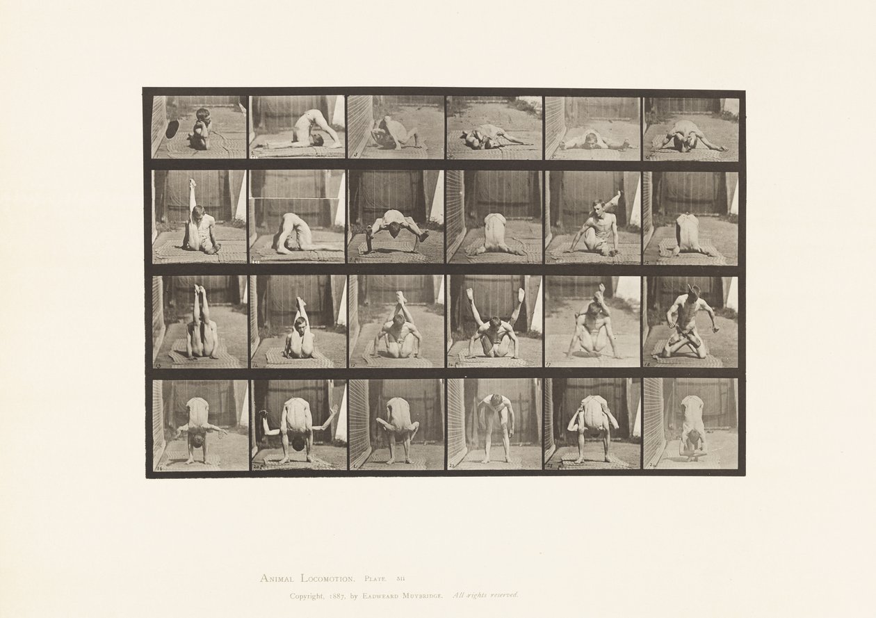 Placa 511. Contorsiones en el Suelo de Eadweard Muybridge