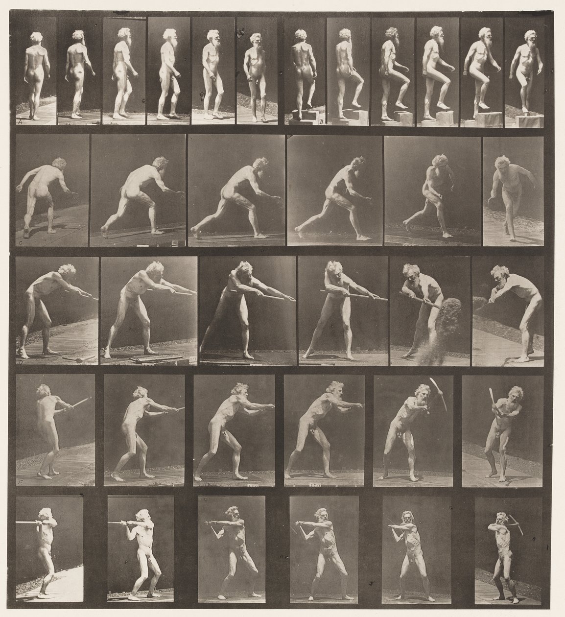 Placa 521. A, Caminando; B, Subiendo escalón; C, Lanzando disco de Eadweard Muybridge