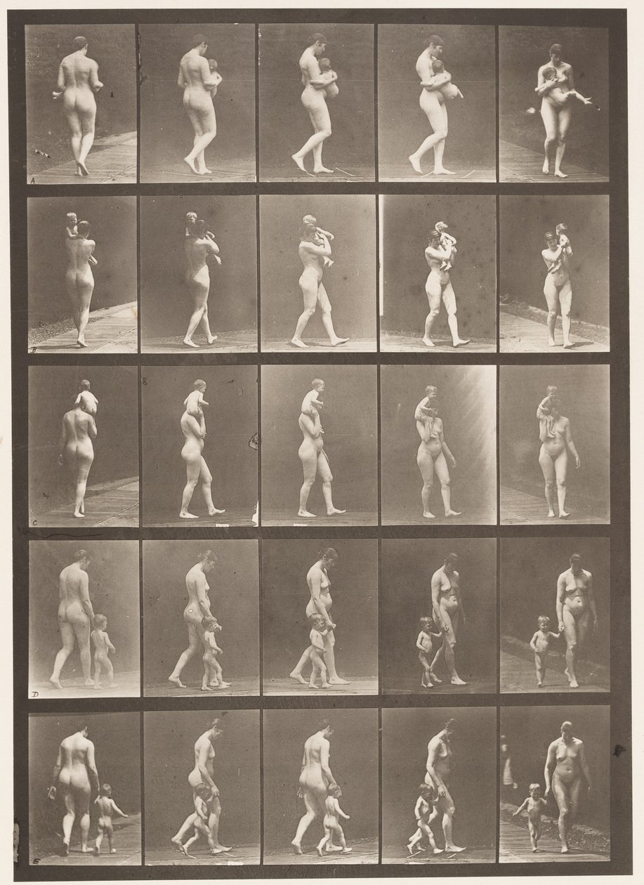 Placa 528. A,B,C de Eadweard Muybridge